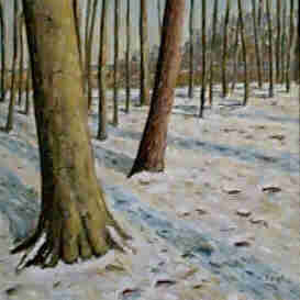 K&uuml;stenwald