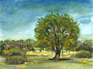 Lindenpark